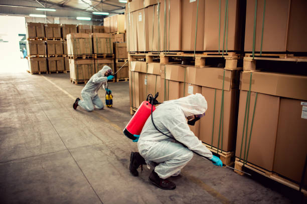 Best Rat Extermination Near Me  in Archdale, NC