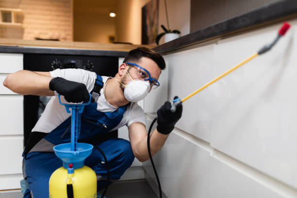Best Mosquito Control Services  in Archdale, NC