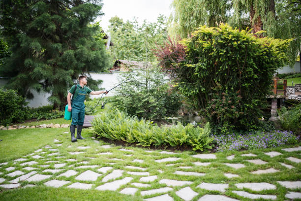 Best Wasp Removal Services  in Archdale, NC