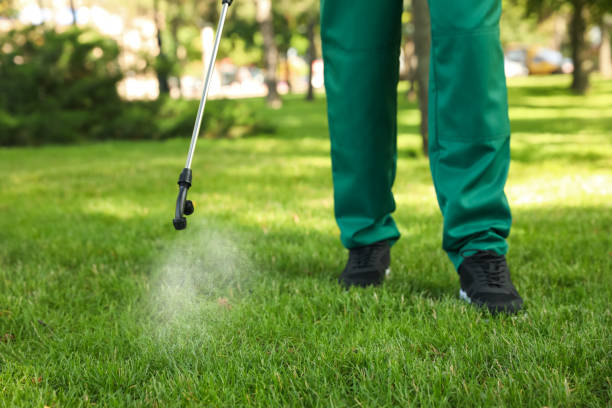 Best Emergency Pest Control  in Archdale, NC