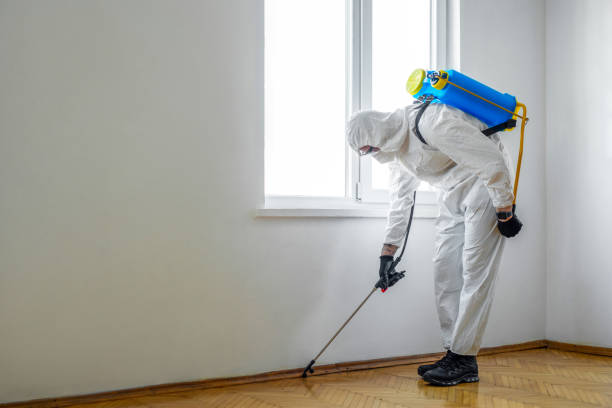 Best Pest Control Near Me  in Archdale, NC