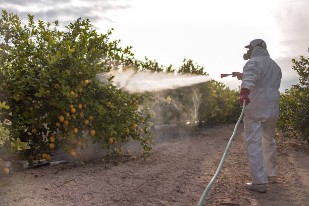 Best Pest Inspection Near Me  in Archdale, NC