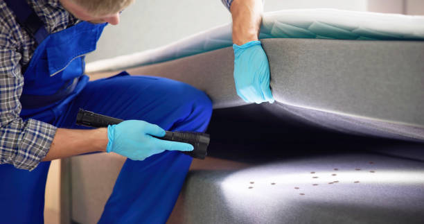 Best Cockroach Control Services  in Archdale, NC