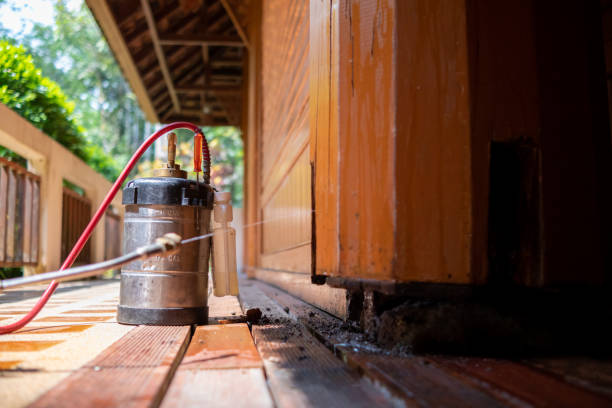 Best Cockroach Control Services  in Archdale, NC