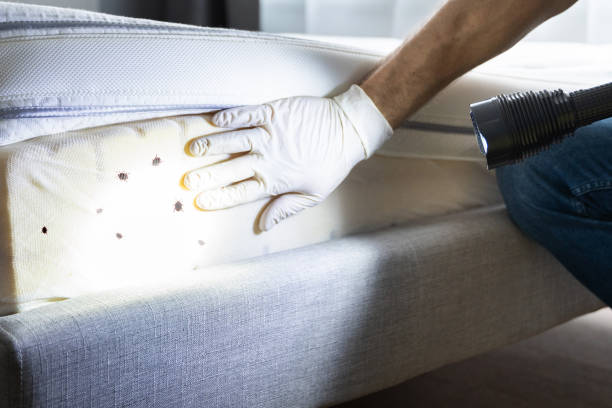 Best Pest Removal Services  in Archdale, NC