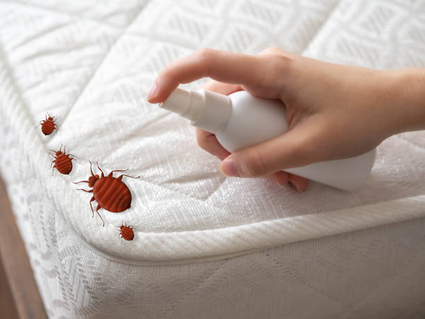 Pest Control Cost in Archdale, NC