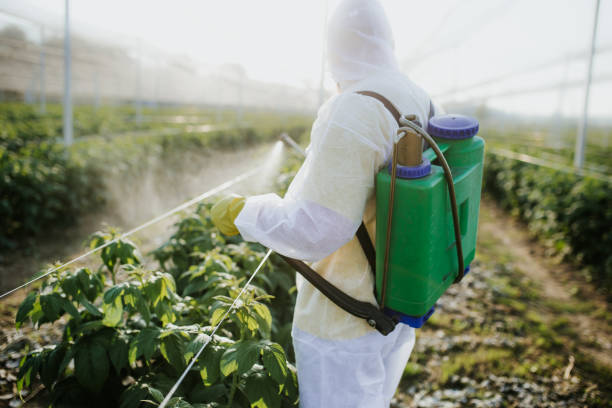 Trusted Archdale, NC Pest Control Experts